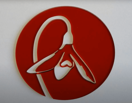 Laser cut paper flower