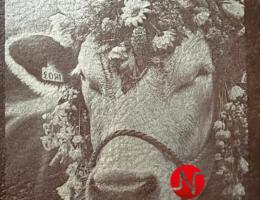 Photo engraved by laser